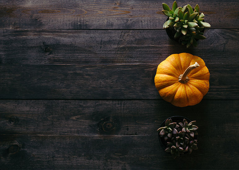 Herbstliche Tischdekoration im minimalistischem Stil mit einem Kürbis und Topfpflanzen | COMNATA